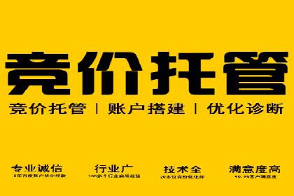 成功案例解析：SEM竞价托管运营策略